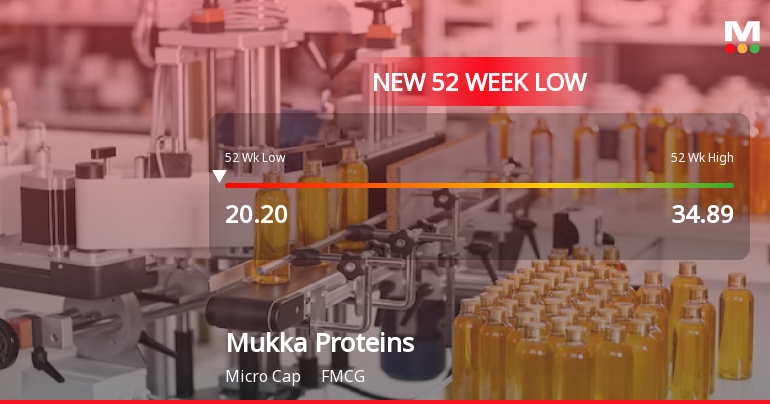 Mukka Proteins Ltd Falls to 52-Week Low of Rs 19.93 Amidst Prolonged Downtrend