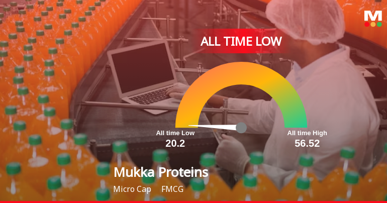 Mukka Proteins Ltd Extends Losing Streak to Three Sessions, Touches All-Time Low