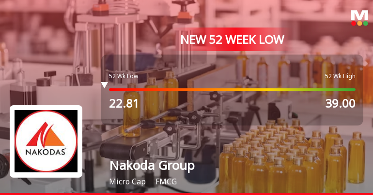 Nakoda Group of Industries Ltd Falls to 52-Week Low of Rs 22.41 as Sell-Off Deepens
