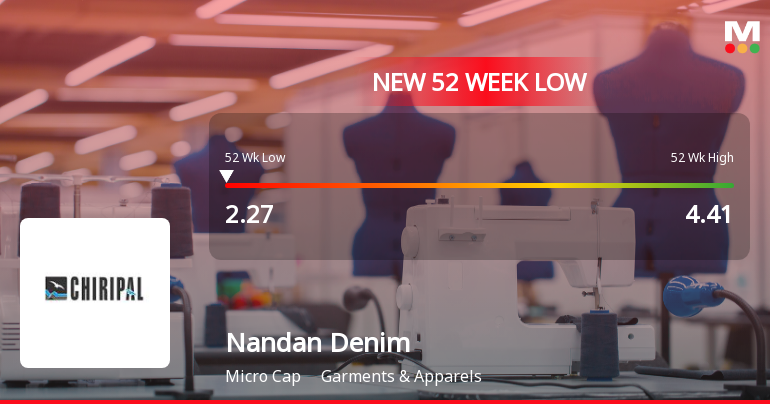 Nandan Denim Ltd Stock Falls to 52-Week Low of Rs.2.21