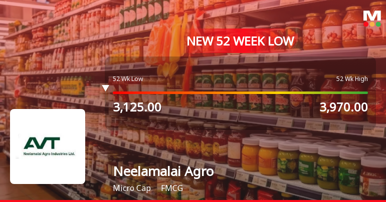 Neelamalai Agro Industries Ltd Falls to 52-Week Low of Rs 3052 as Sell-Off Deepens