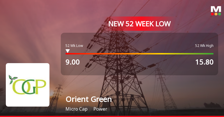 Orient Green Power Company Ltd Stock Hits 52-Week Low at Rs.9