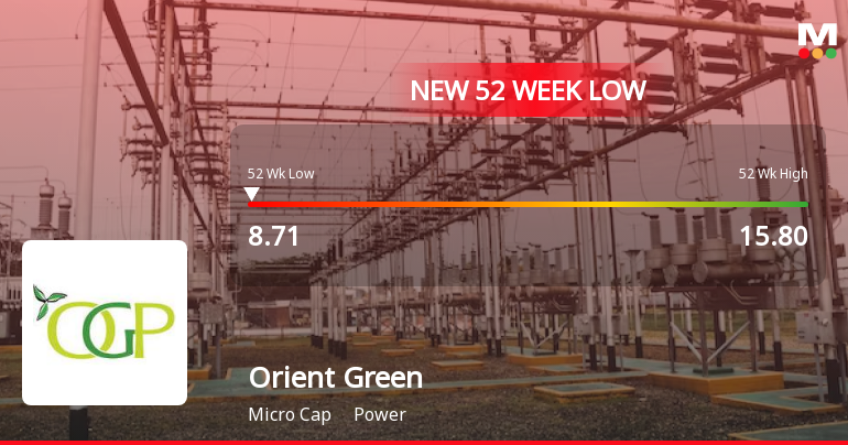 Orient Green Power Company Ltd Falls to 52-Week Low of Rs 8.67 as Sell-Off Deepens