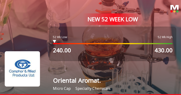 Oriental Aromatics Ltd Falls to 52-Week Low of Rs.240 Amid Continued Weakness