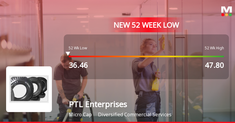 Five Consecutive Losses Push PTL Enterprises Ltd to a New 52-Week Low