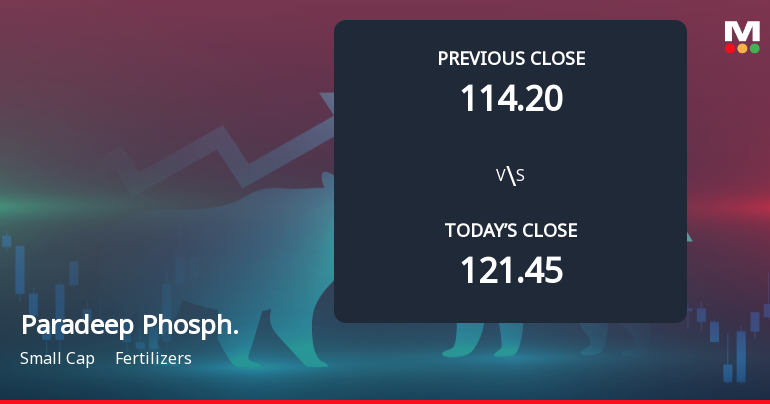 Paradeep Phosphates Ltd Opens with Significant Gap Down Amid Market Concerns