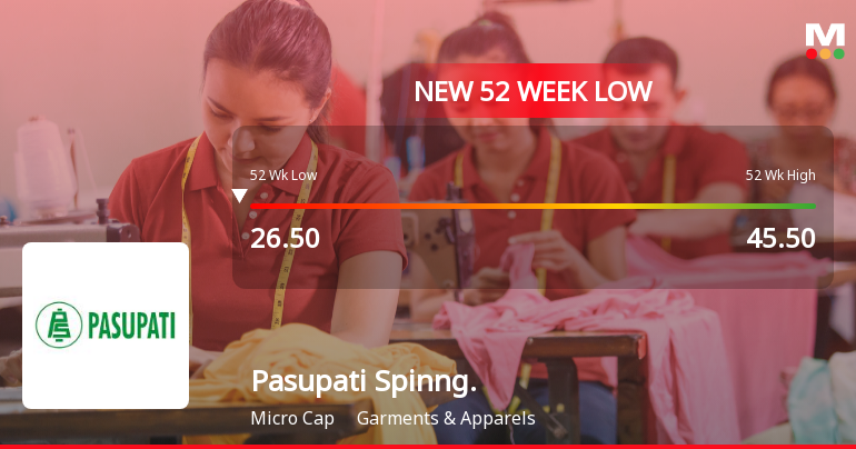 Pasupati Spinning & Weaving Mills Ltd Falls to 52-Week Low of Rs 26.1 as Sell-Off Deepens