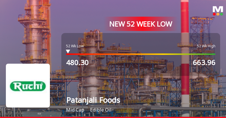Patanjali Foods Ltd Stock Falls to 52-Week Low of Rs.480.3