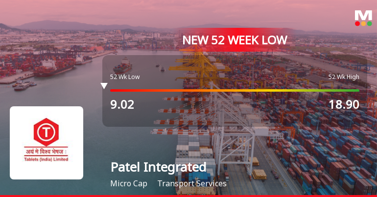 Markets Rally, But Patel Integrated Logistics Ltd Sinks to 52-Week Low in Stock-Specific Sell-Off
