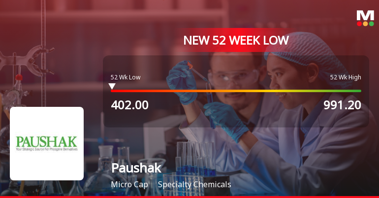 Paushak Ltd Stock Falls to 52-Week Low of Rs.402 Amid Continued Weakness
