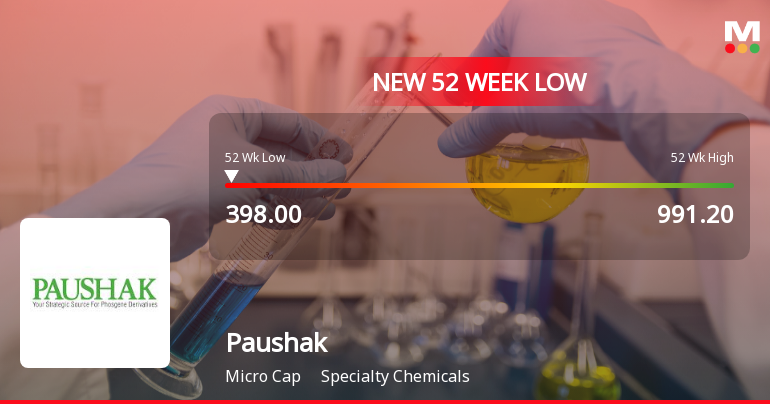 Paushak Ltd Falls to 52-Week Low Amid Continued Downtrend