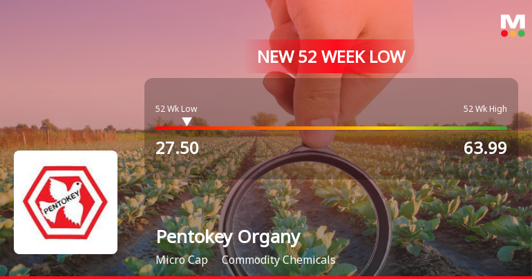 Pentokey Organy Falls to 52-Week Low of Rs 28.49 as Sell-Off Deepens