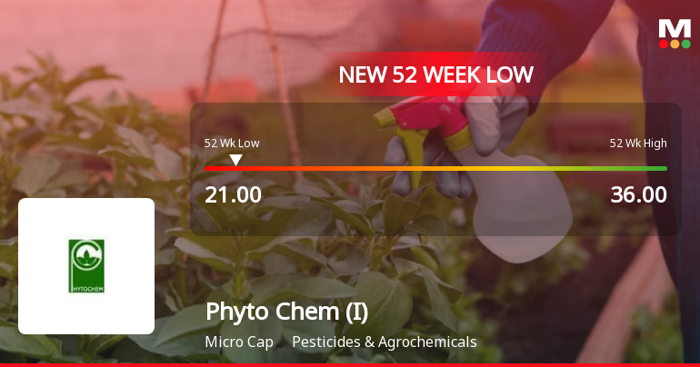 Phyto Chem (India) Ltd Falls to 52-Week Low Amidst Continued Downtrend