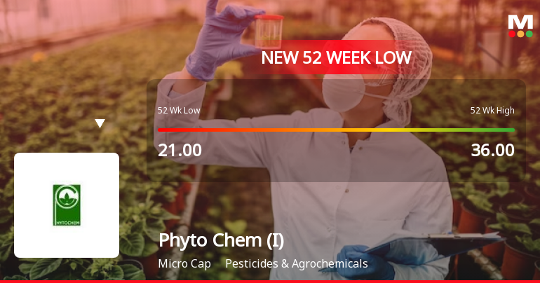 Five Consecutive Losses Push Phyto Chem (India) Ltd to a New 52-Week Low