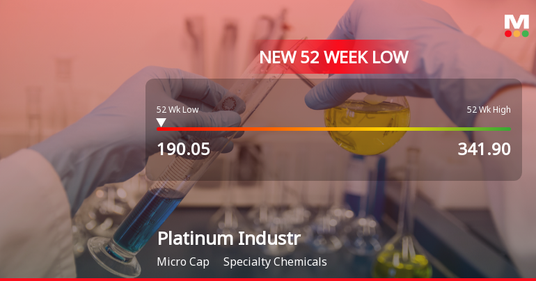 Markets Rally, But Platinum Industries Ltd Sinks to 52-Week Low in Stock-Specific Sell-Off