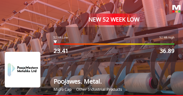 Poojawestern Metaliks Ltd Falls to 52-Week Low of Rs 23.21 as Sell-Off Deepens