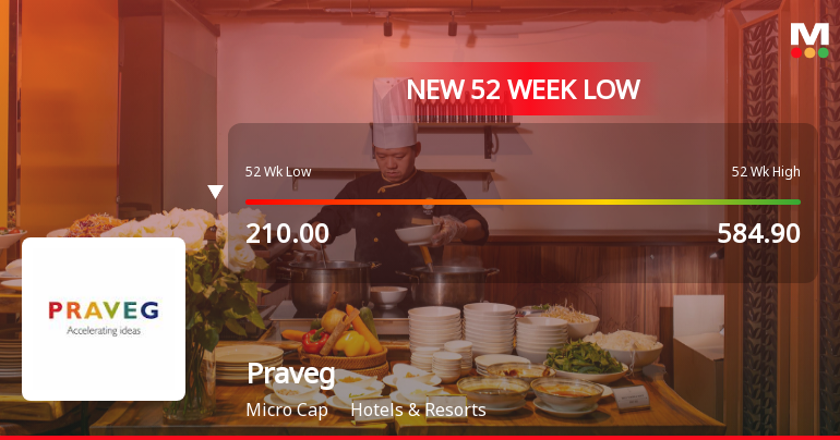 Five Consecutive Losses Push Praveg Ltd to a New 52-Week Low