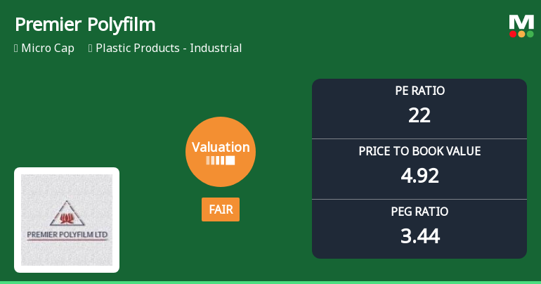 Premier Polyfilm Ltd: Valuation Shift Signals Changing Price Attractiveness