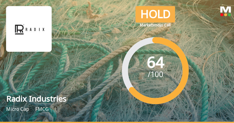 Radix Industries (India) Ltd is Rated Hold