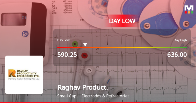 Raghav Productivity Enhancers Ltd Hits Intraday Low Amid Price Pressure