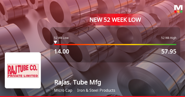 Rajasthan Tube Manufacturing Co Ltd Hits 52-Week Low at Rs.14