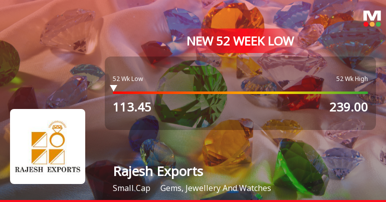 Rs Rajesh Rajesh Exports Ltd Stock Falls to 52-Week Low of Rs.113.45