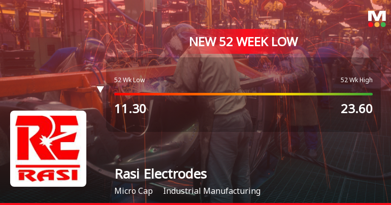 Markets Rally, But Rasi Electrodes Ltd Sinks to 52-Week Low in Stock-Specific Sell-Off