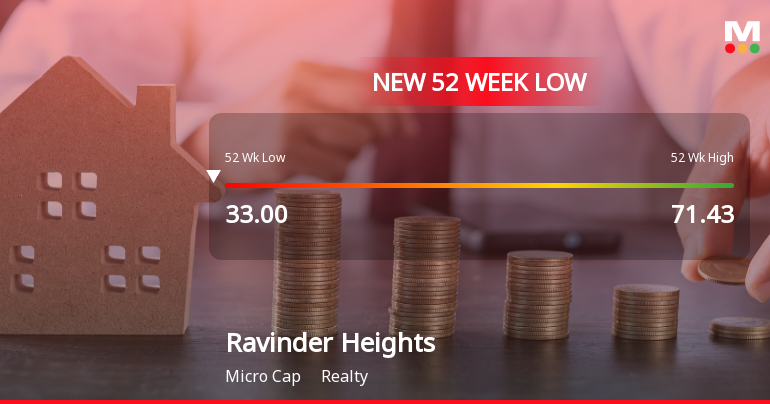 Markets Rally, But Ravinder Heights Ltd Sinks to 52-Week Low in Stock-Specific Sell-Off