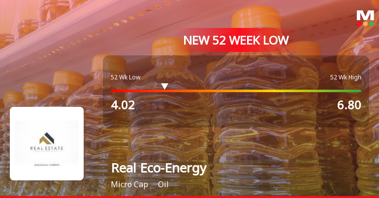 Real Eco-Energy Ltd Stock Falls to 52-Week Low of Rs.4.02