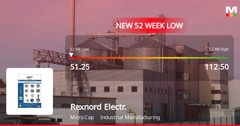 Rexnord Electronics & Controls Ltd Falls to 52-Week Low of Rs 51.25