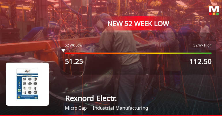 Rexnord Electronics & Controls Ltd Falls to 52-Week Low of Rs 49 as Sell-Off Deepens