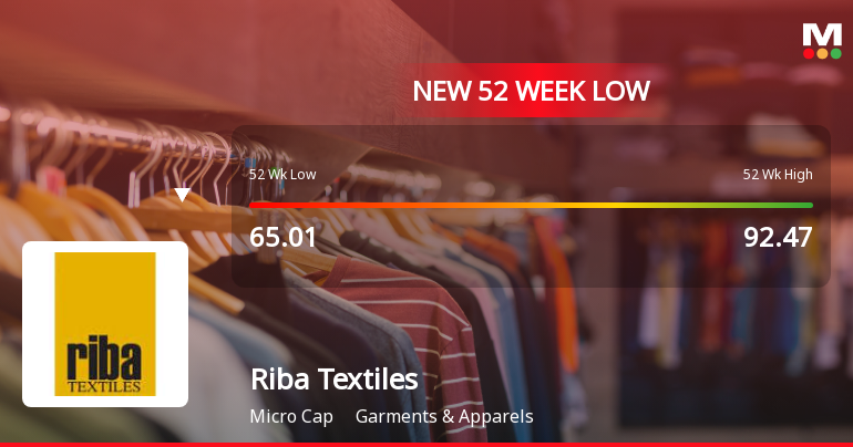 Riba Textiles Ltd Falls to 52-Week Low of Rs 60.99 as Sell-Off Deepens