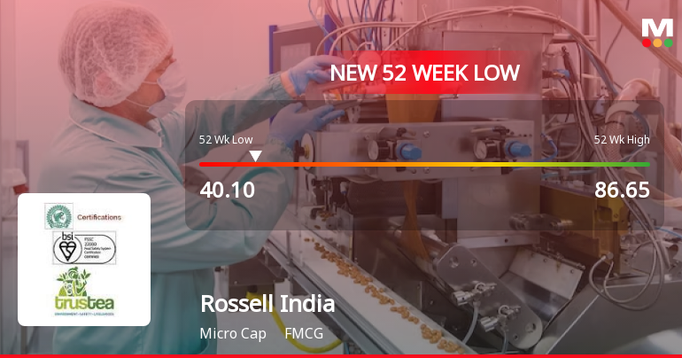 Rossell India Ltd Stock Falls to 52-Week Low of Rs.40.1