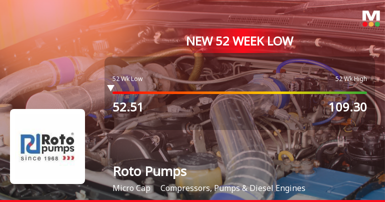 Markets Rally, But Roto Pumps Ltd Sinks to 52-Week Low in Stock-Specific Sell-Off