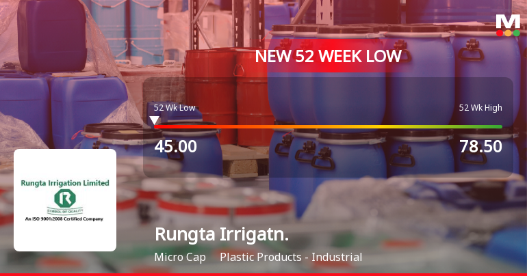 Markets Rally, But Rungta Irrigation Ltd Sinks to 52-Week Low in Stock-Specific Sell-Off