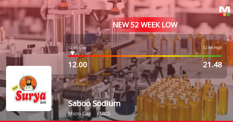 Saboo Sodium Chloro Ltd Falls to 52-Week Low Amidst Continued Downtrend