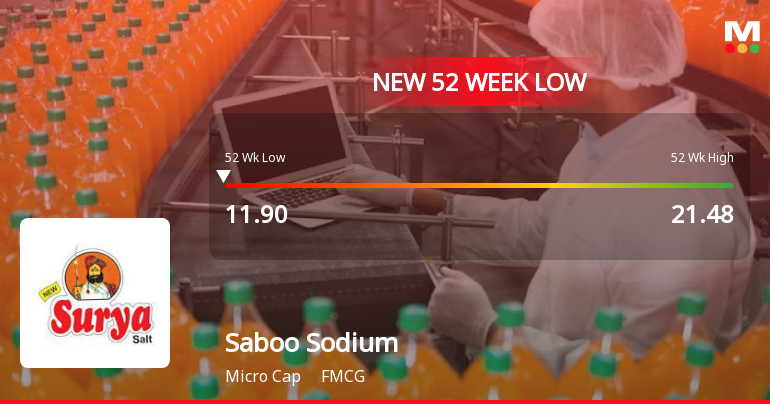 Saboo Sodium Chloro Ltd Falls to 52-Week Low of Rs.11.7 Amidst Continued Underperformance