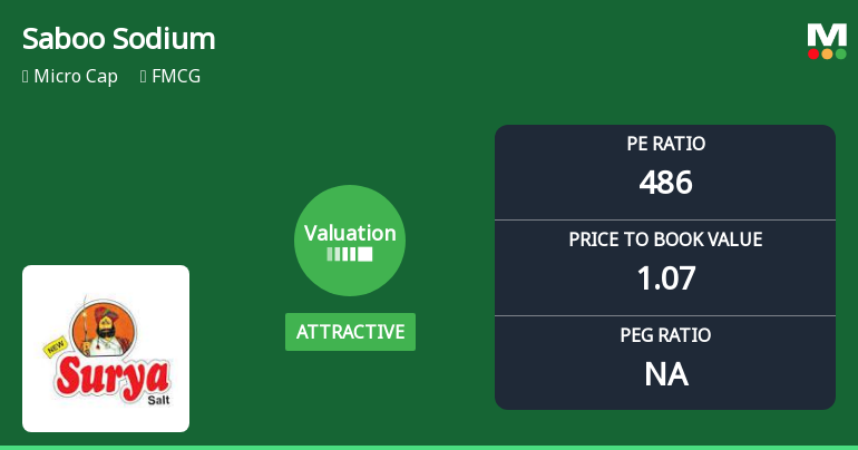 Saboo Sodium Chloro Ltd Valuation Shifts Signal Changing Market Sentiment