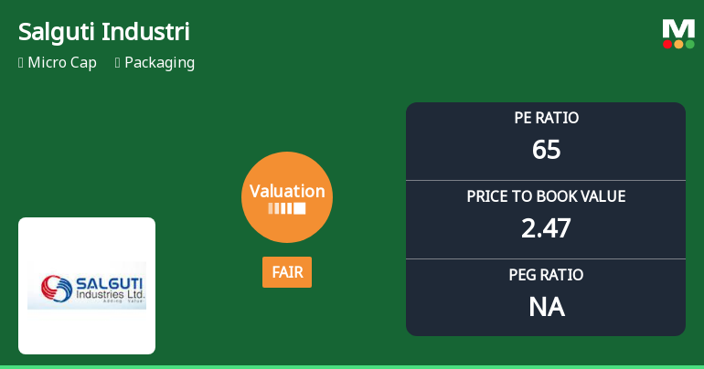 Salguti Industries Ltd Valuation Shifts: From Attractive to Fair Amidst Sector Comparisons