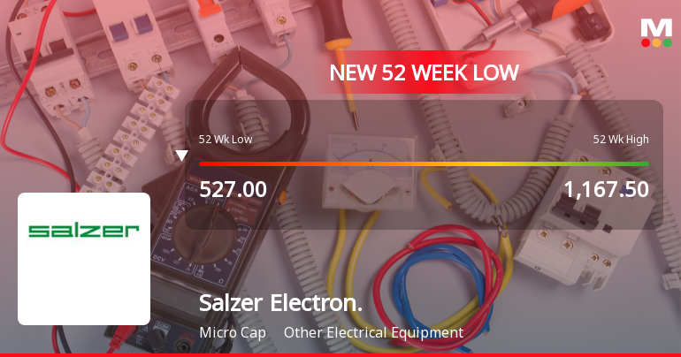 Five Consecutive Losses Push Salzer Electronics Ltd to a New 52-Week Low