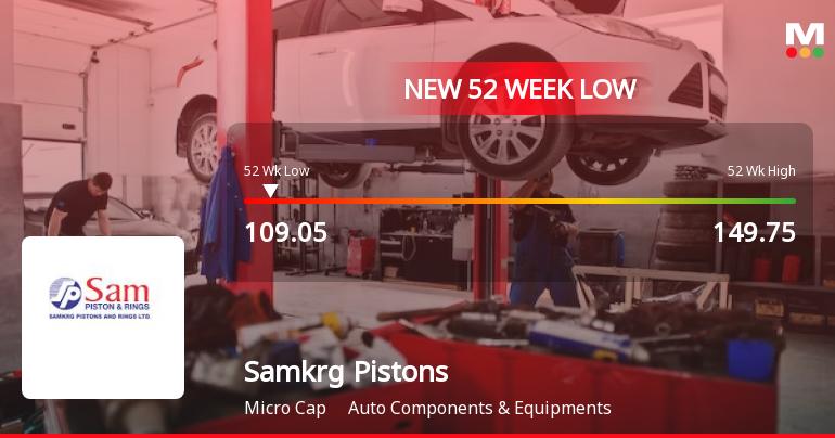 Markets Rally, But Samkrg Pistons & Rings Ltd Sinks to 52-Week Low in Stock-Specific Sell-Off