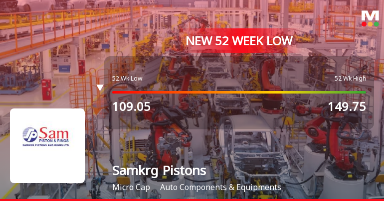 Markets Rally, But Samkrg Pistons & Rings Ltd Sinks to 52-Week Low in Stock-Specific Sell-Off