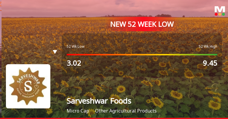 Sarveshwar Foods Ltd Falls to 52-Week Low of Rs 2.5 as Sell-Off Deepens