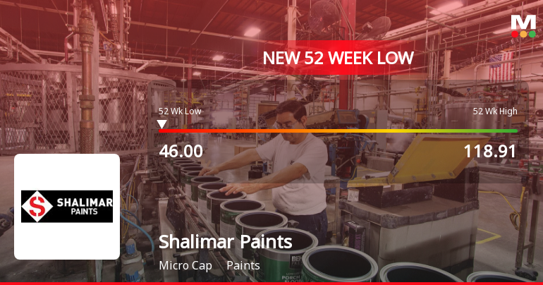 Shalimar Paints Ltd. Stock Hits 52-Week Low at Rs.46 Amid Continued Downtrend