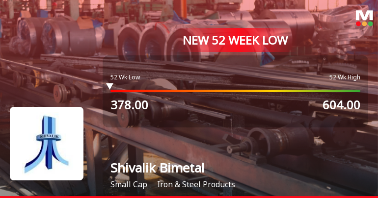Markets Rally, But Shivalik Bimetal Controls Ltd Sinks to 52-Week Low in Stock-Specific Sell-Off