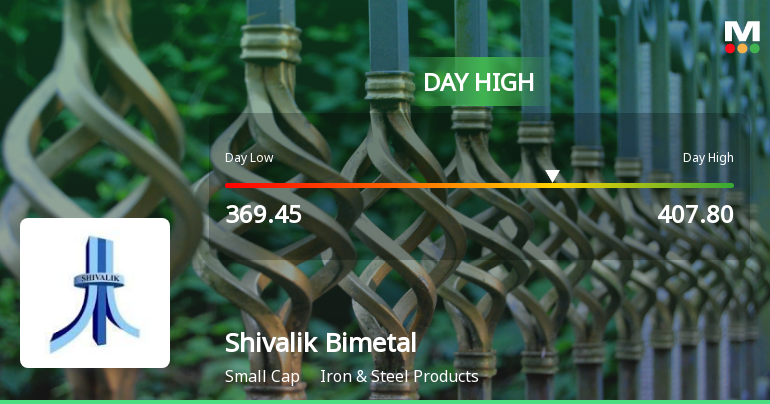 Shivalik Bimetal Controls Ltd Surges 7.82% to Day's High of Rs 391 — Outperforms Sector by 4.79 Percentage Points