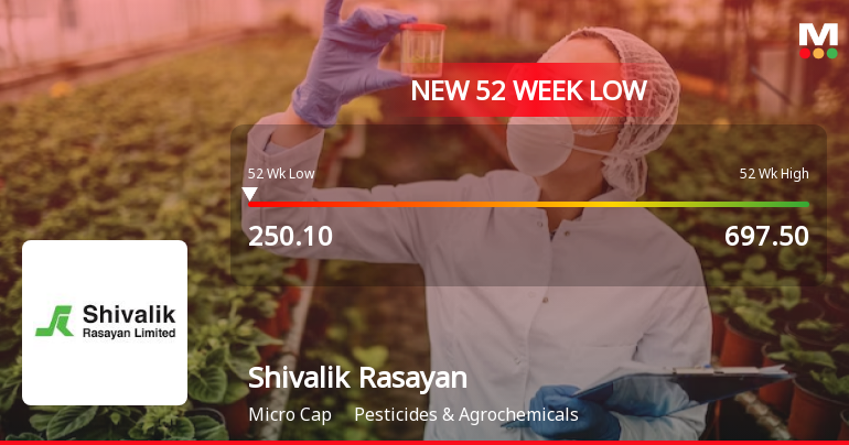 Shivalik Rasayan Ltd Falls to 52-Week Low Amid Continued Downtrend