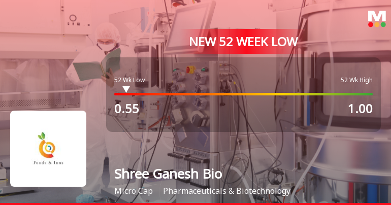 Shree Ganesh Biotech India Ltd Falls to 52-Week Low of Rs.0.55