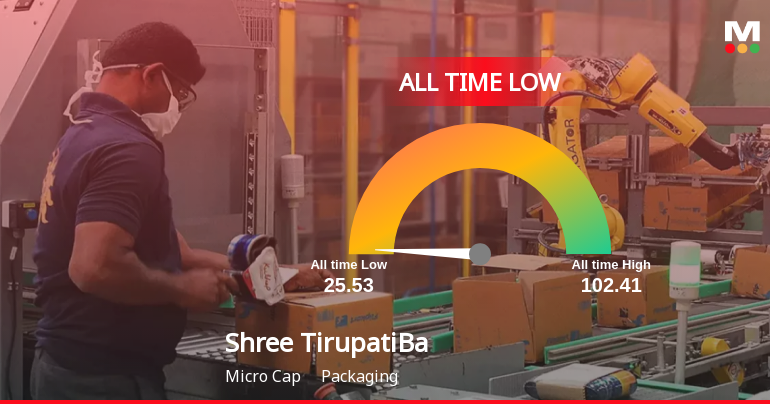Shree Tirupati Balajee Agro Trading Co. Ltd Hits All-Time Low Amid Prolonged Downtrend