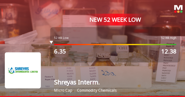 Markets Rally, But Shreyas Intermediates Ltd Sinks to 52-Week Low in Stock-Specific Sell-Off